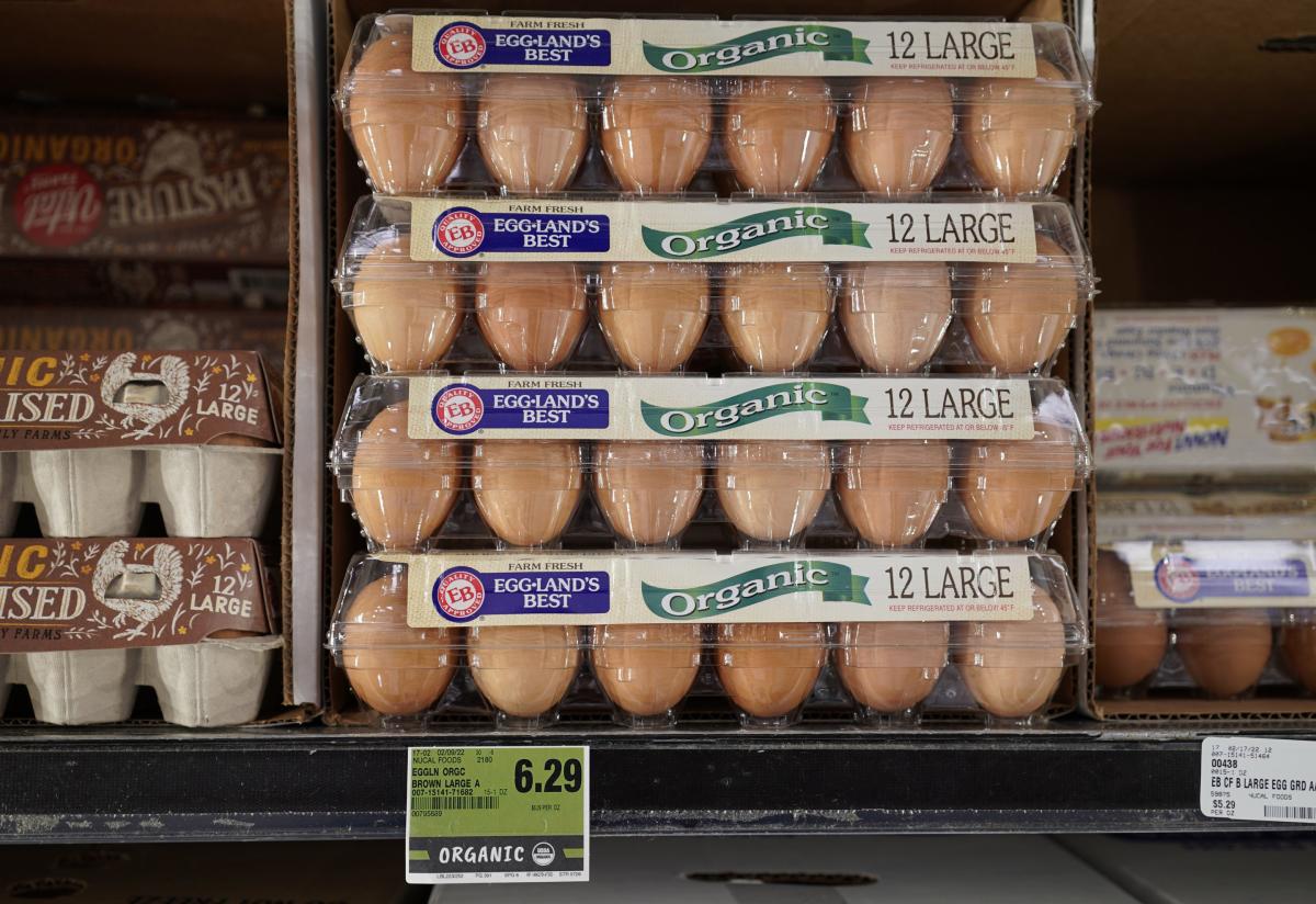 Egg Prices Soar During Bird Flu Pandemic: Why?